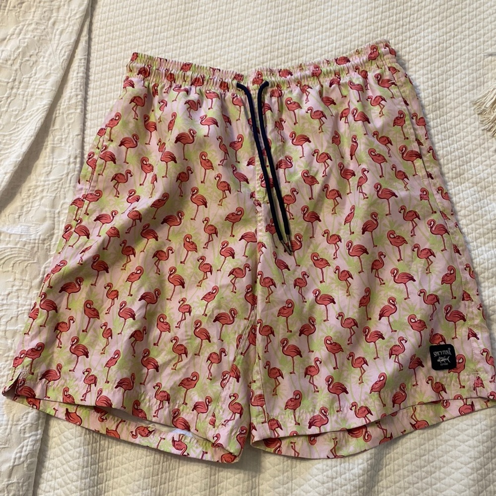 Spicy Tuna Flamingo Swim Trunks Medium